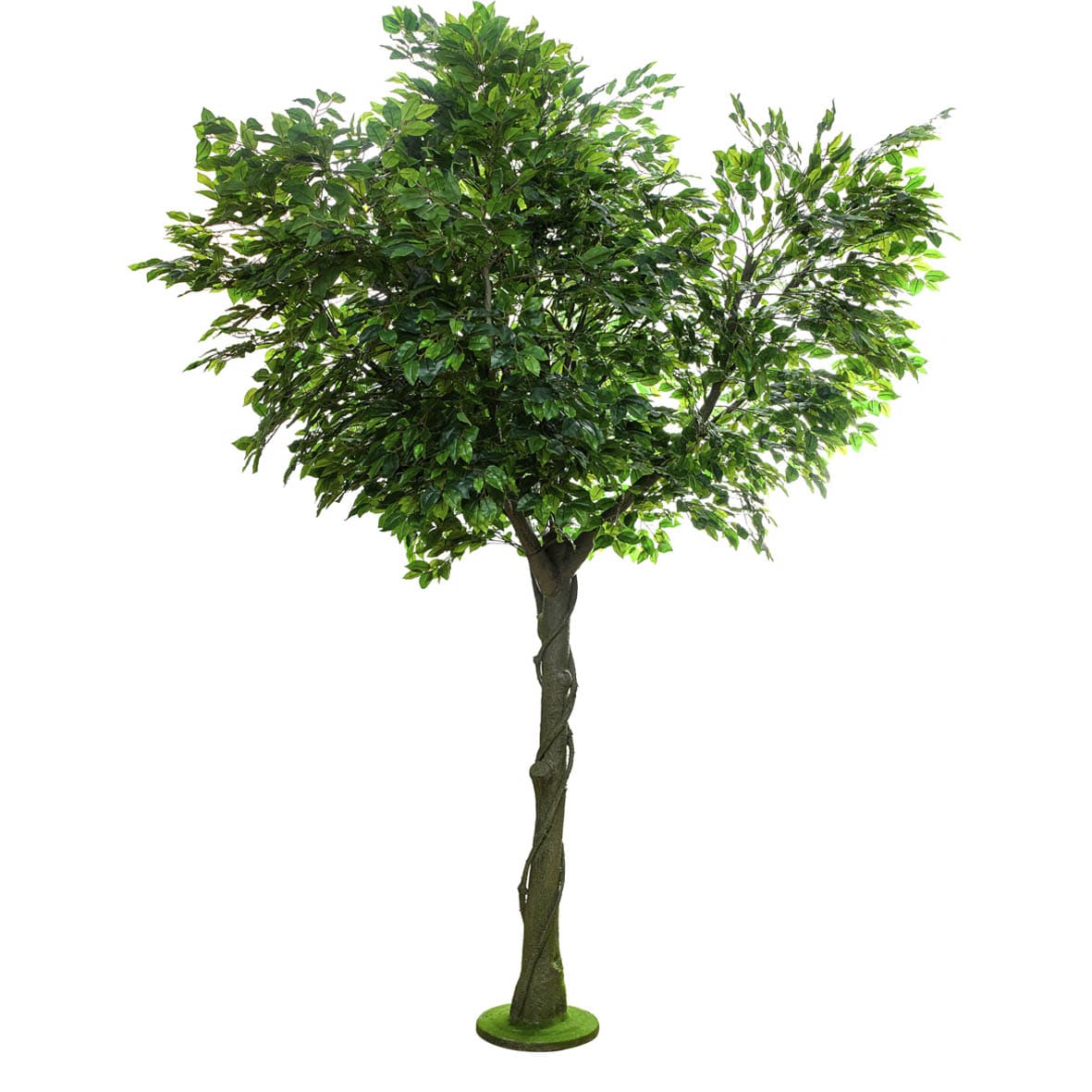 Planta 2