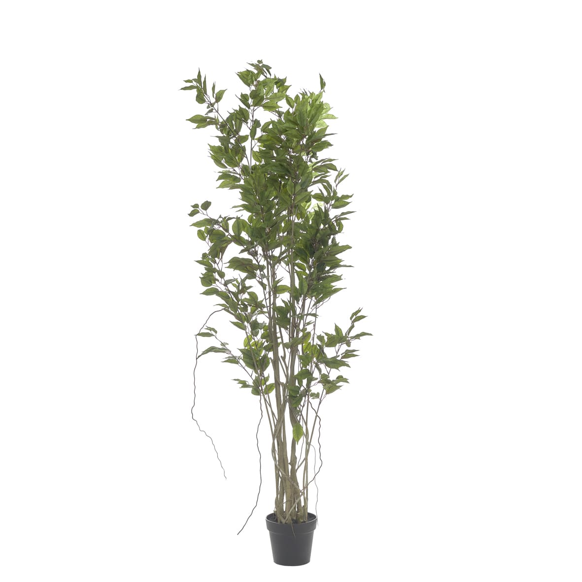Planta 3